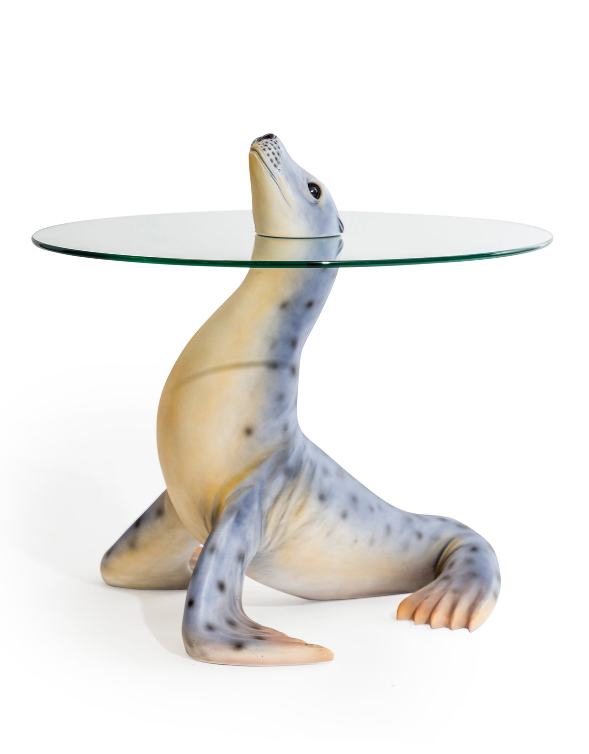 "Natural" Seal Coffee / Side Table - BD184