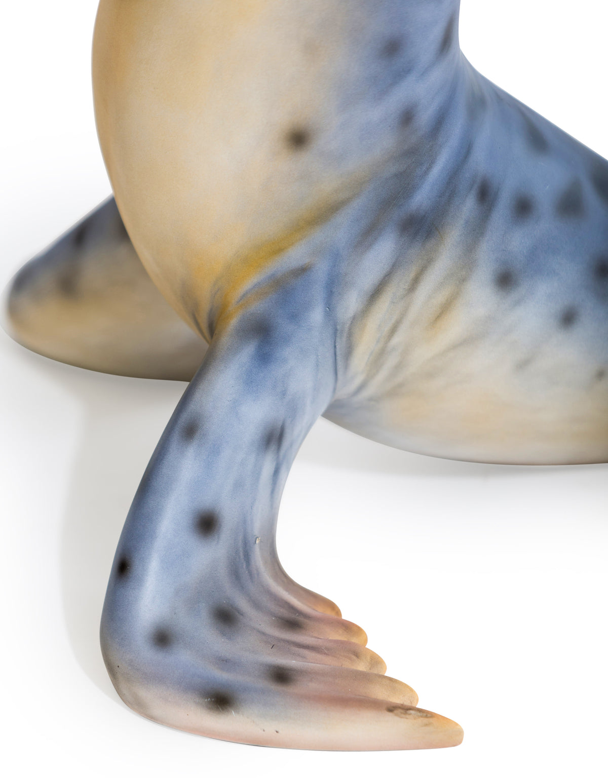 "Natural" Seal Coffee / Side Table - BD184