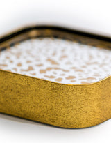 Set of 4 Mirrored Leopard Print Coasters - LUM19