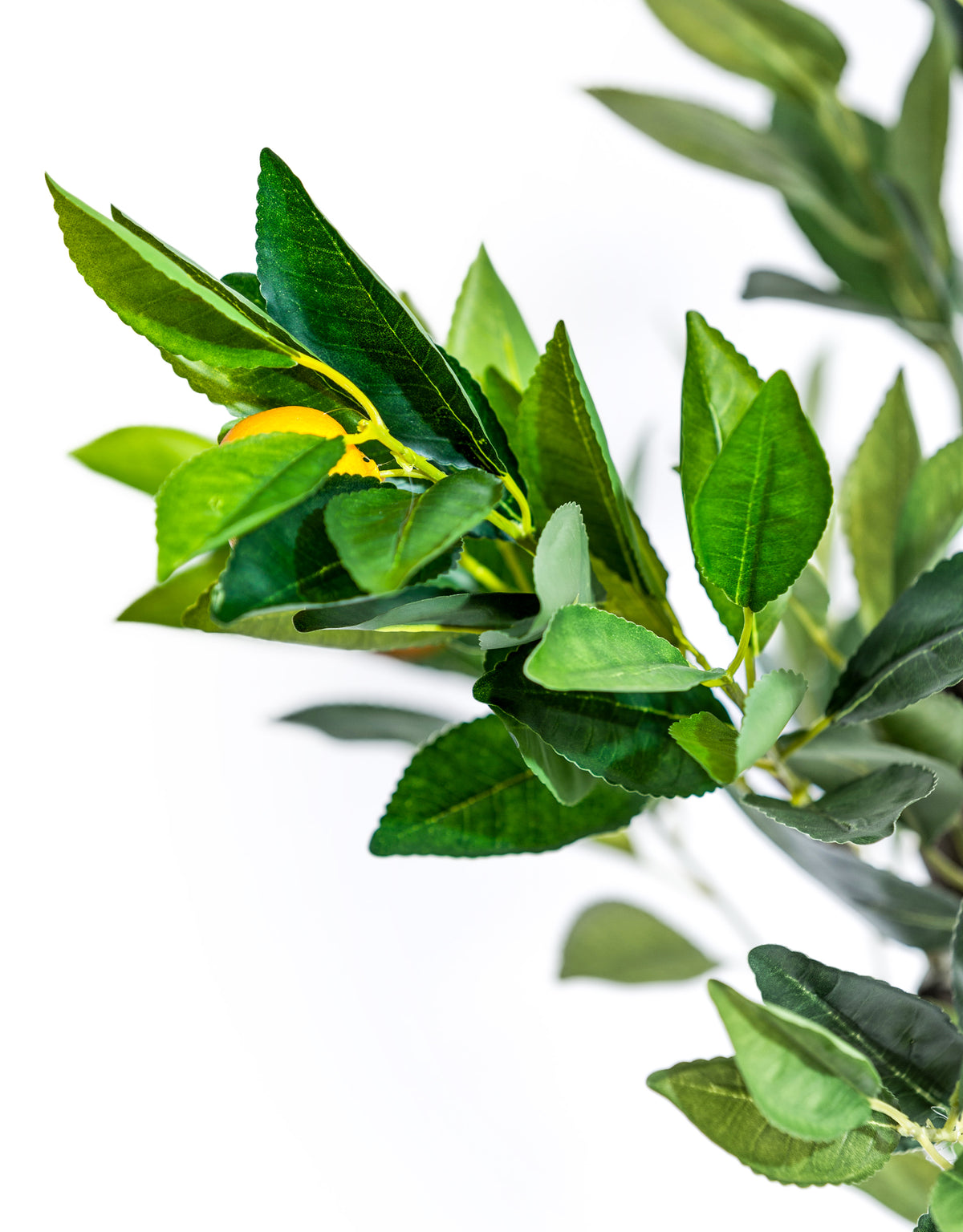Large Ornamental Potted Orange Tree - AF130