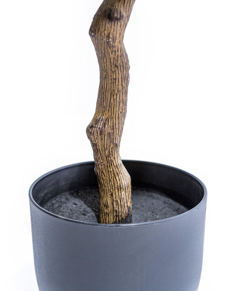 Large Ornamental Potted Orange Tree - AF130