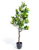 Large Ornamental Potted Orange Tree - AF130