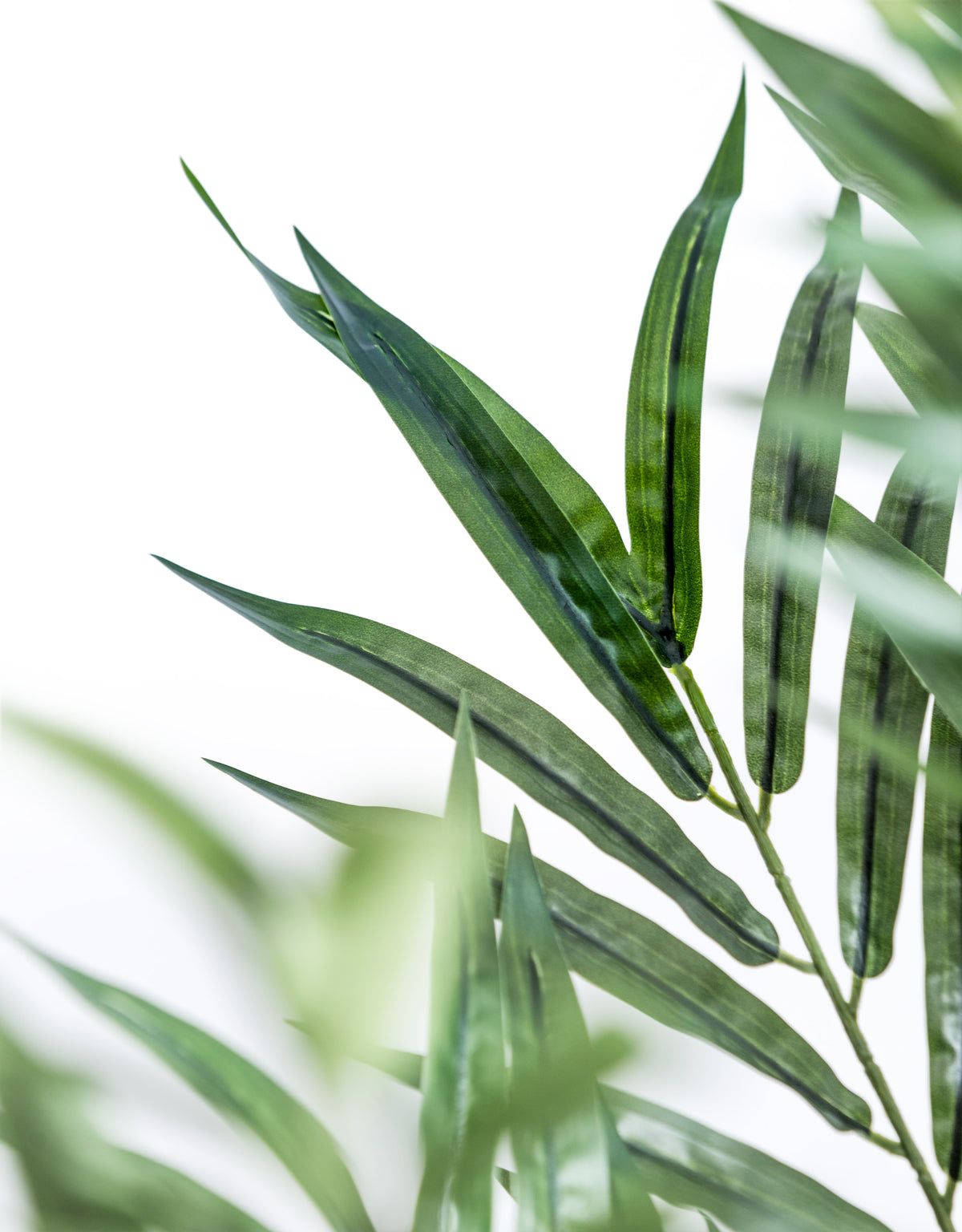 Extra Large Bamboo Tree - AF133