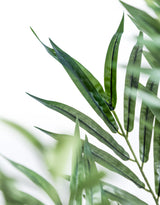 Extra Large Bamboo Tree - AF133