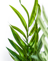 Extra Large Bamboo Tree - AF133