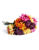 Assorted Mixed Colour Daisy Ball Stems (to be bought in bunches of 12) - AF134