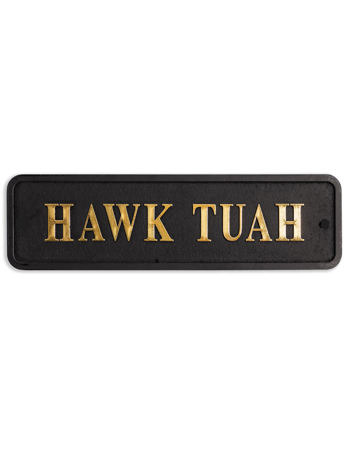 Black & Gold "Hawk Tuah" Wall Sign - RS105
