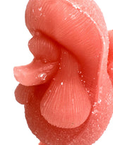Pink Poodle Candle - CCC10