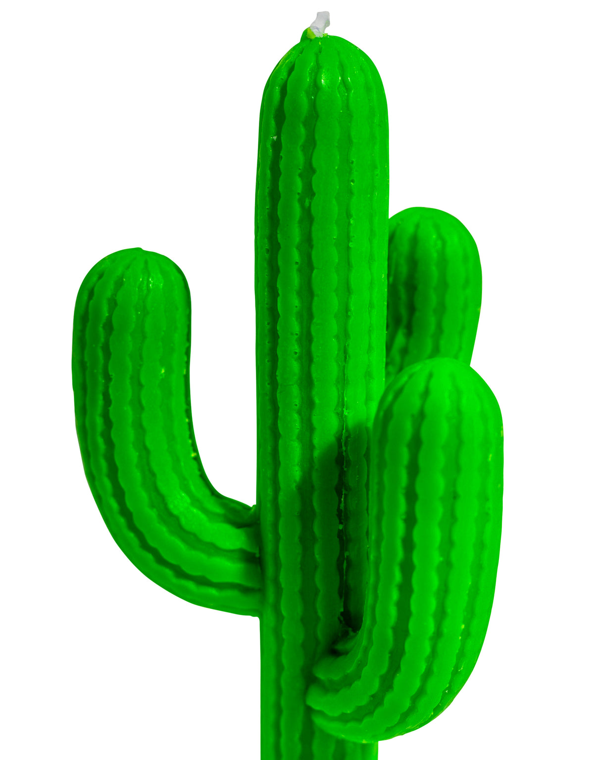 Green Cactus Candle - CCC17