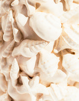 Sand-White Sea Shell Large Ceramic Vase - NCP20