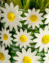 Ceramic Large Multi Daisy Vase - JFC27