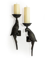 Pair of Large Distressed Black Metal Parrot Wall Sconces - AL181
