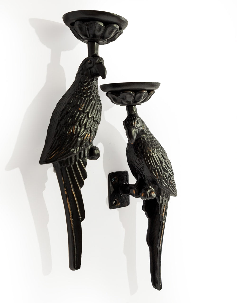 Pair of Large Distressed Black Metal Parrot Wall Sconces - AL181
