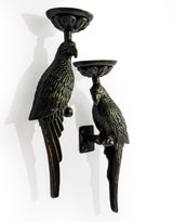 Pair of Large Distressed Black Metal Parrot Wall Sconces - AL181