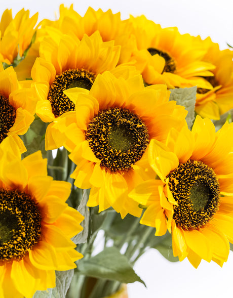 Single Sunflower Stem - AF136