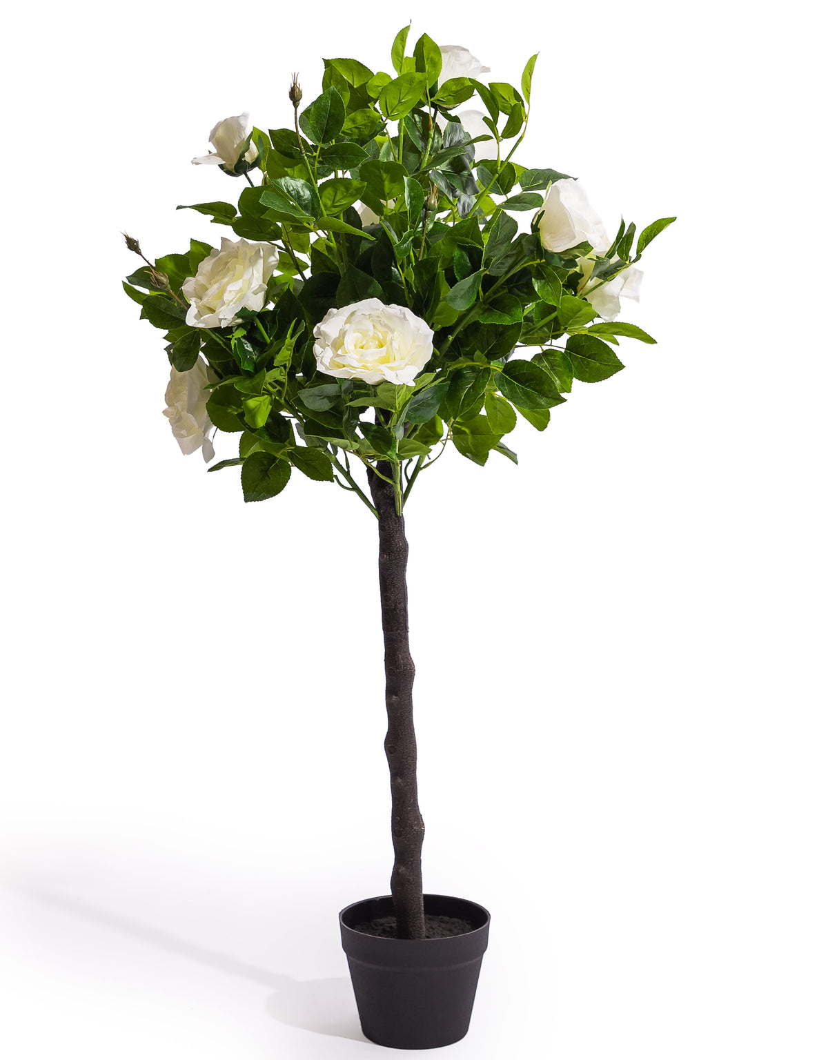 Large Ornamental Potted White Rose Tree - AF137