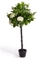 Large Ornamental Potted White Rose Tree - AF137