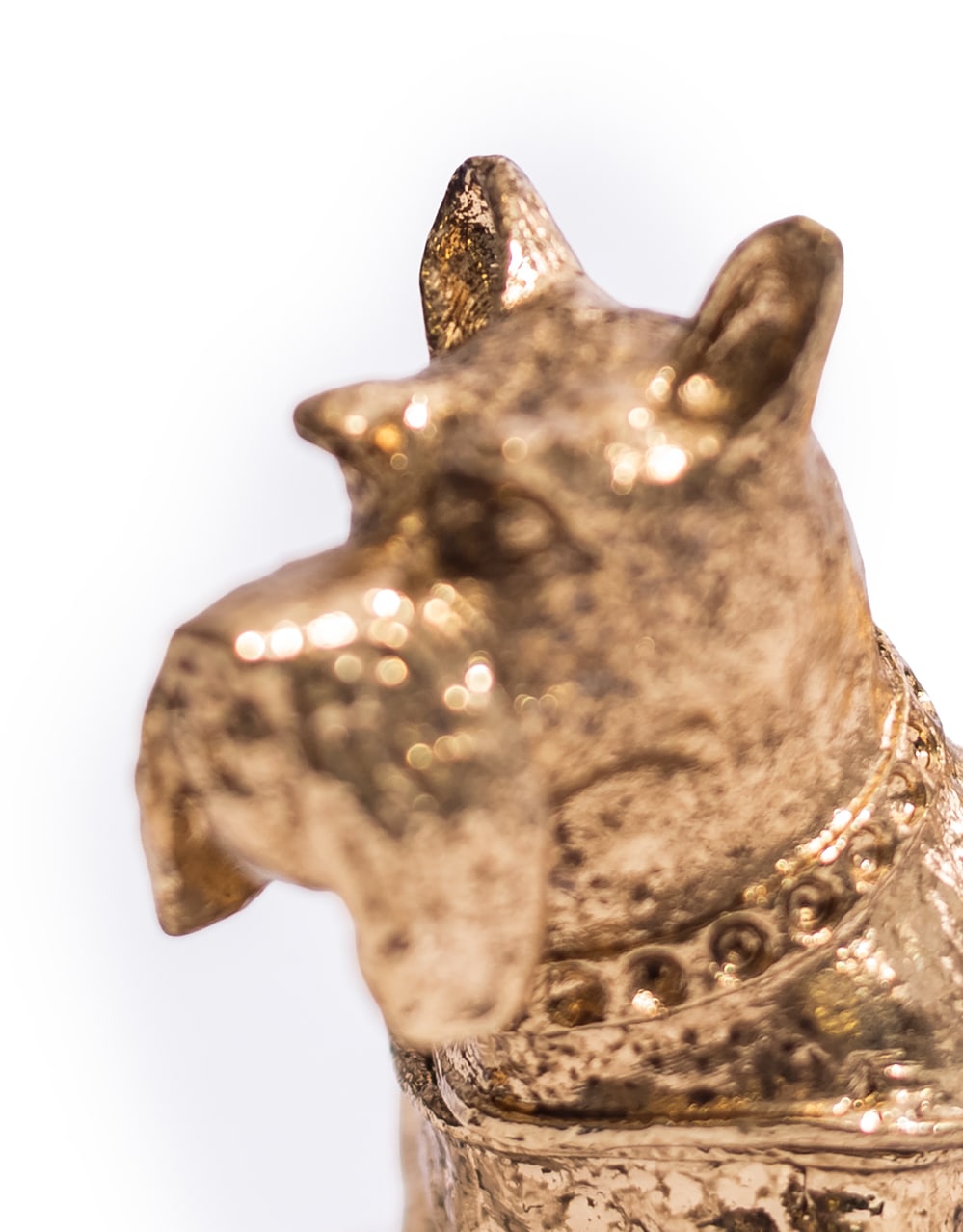 Gold Terrier Trinket Box - ET367
