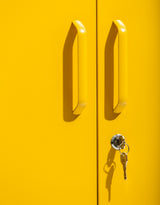 Medium Steel Metal Locker in Mustard Yellow - LLK15