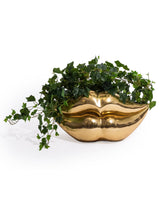 Extra Large Gold Lips Planter - DVM70