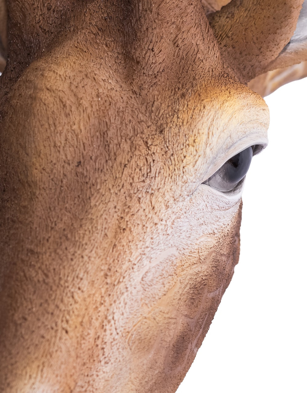 Large Giraffe Wall Head - BD192