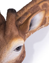 Large Giraffe Wall Head - BD192