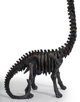 Brachiosaurus Dinosaur Skeleton Ornament - BD208
