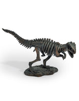 T-Rex Dinosaur Skeleton Ornament - BD209