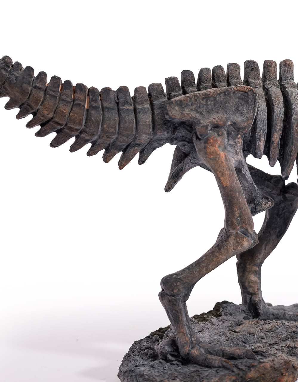 T-Rex Dinosaur Skeleton Ornament - BD209