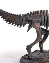 T-Rex Dinosaur Skeleton Ornament - BD209