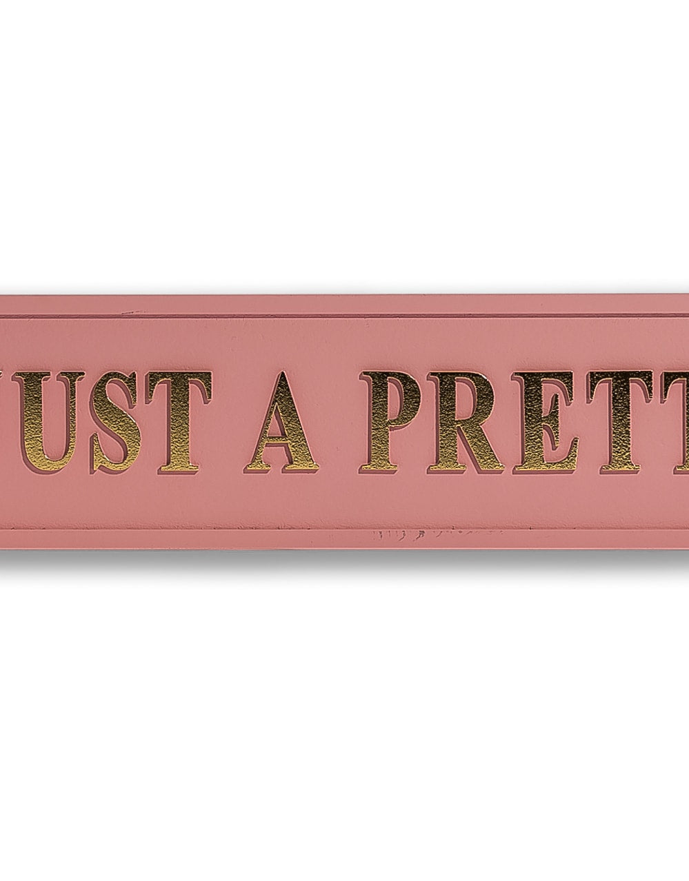 Pink & Gold "Not Just A Pretty Face" Wall Sign - RS139