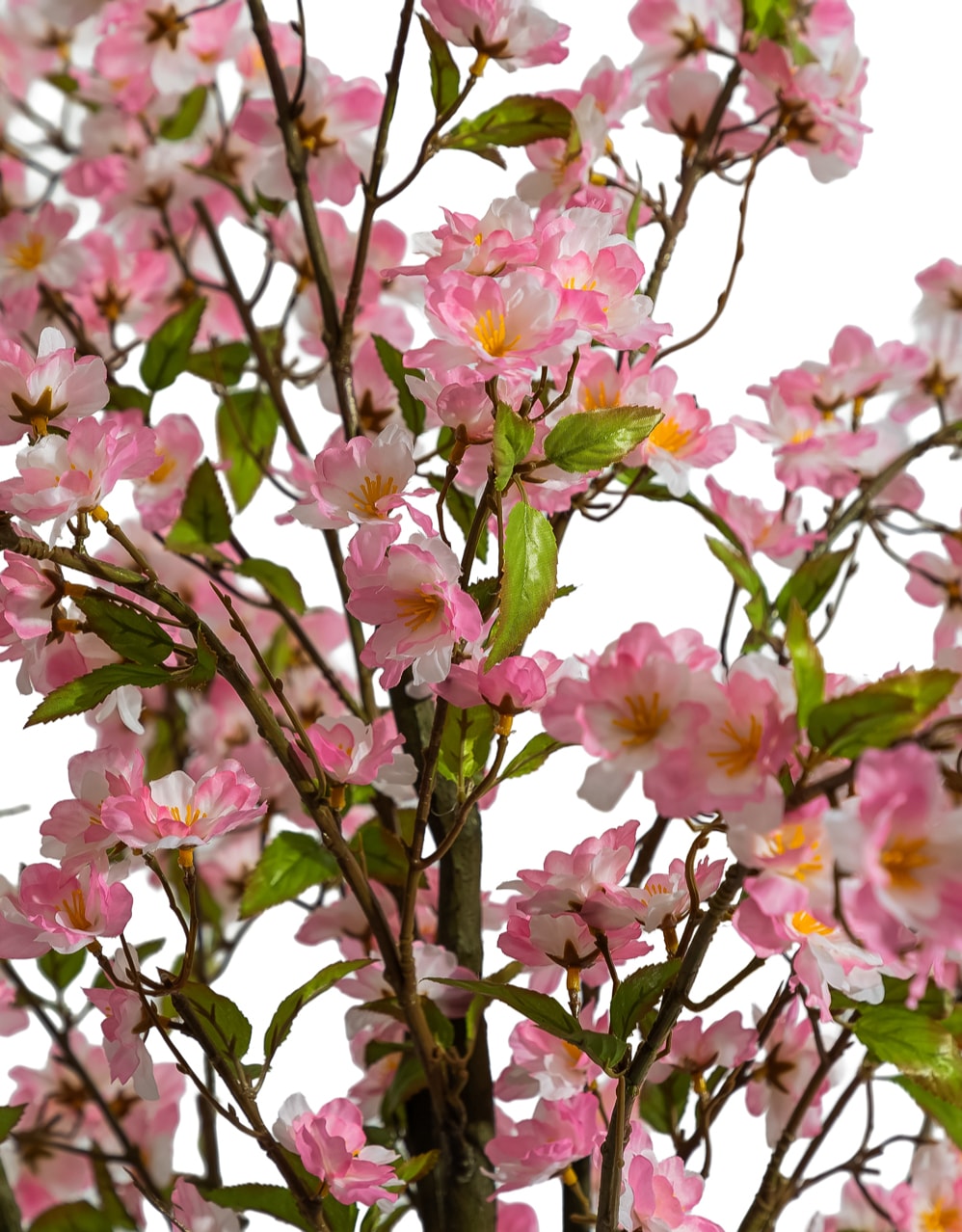 Large Ornamental Potted Cherry Blossom Tree - AF141