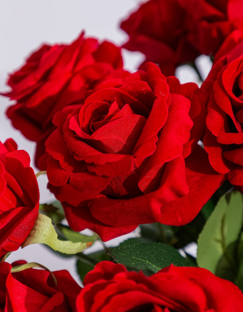 Single Red Rose Stem - AF143