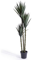Extra Large Triple Stem Sisal Tree - AF145