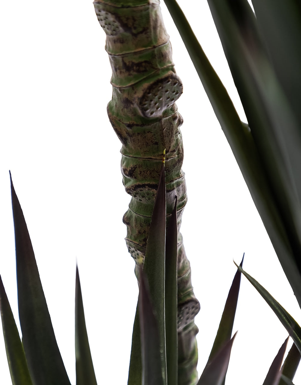 Extra Large Triple Stem Sisal Tree - AF145