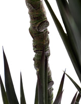Extra Large Triple Stem Sisal Tree - AF145
