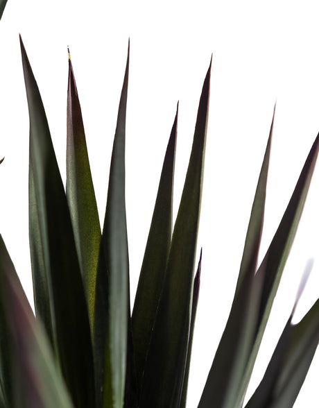 Extra Large Triple Stem Sisal Tree - AF145
