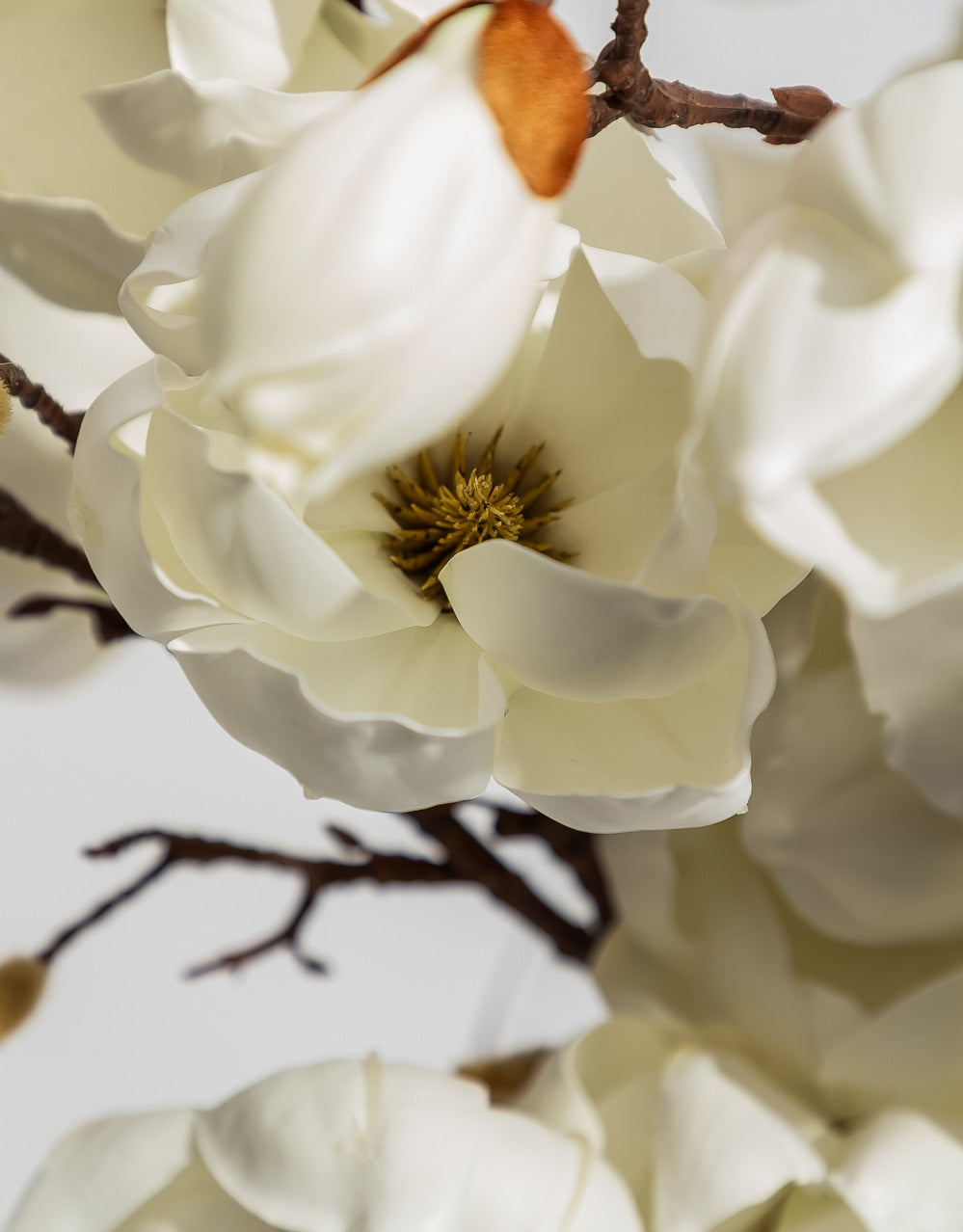 Magnolia Branch Stem - AF146