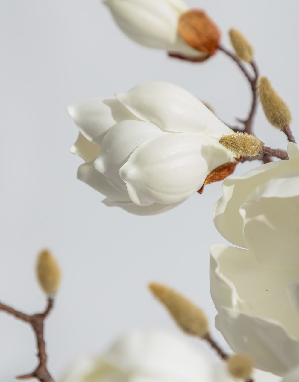 Magnolia Branch Stem - AF146