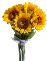Extra Large 115cm Sunflower - AF148