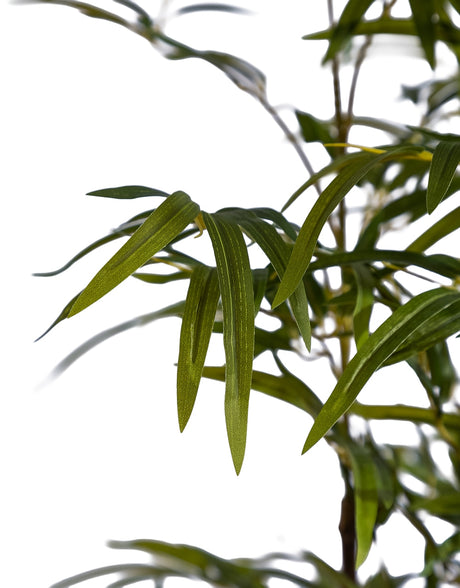 Classic Bamboo Tree - AF149