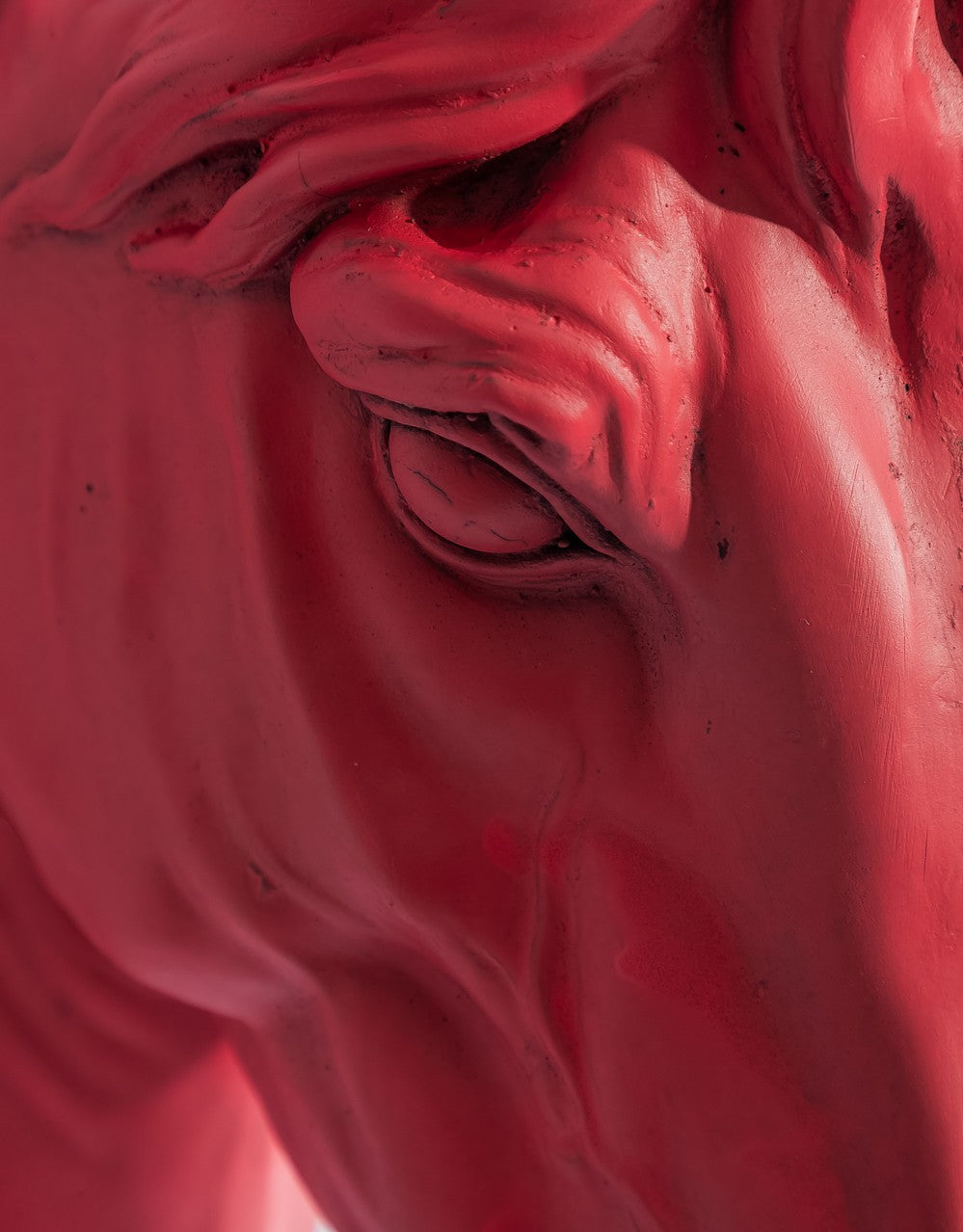 Magenta "Pink Pony" Large Horse Wall Head - BD197