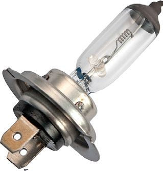 Schiefer H7 PX26d 116x44mm 24V 70W Clear K Dimmable - 502406714