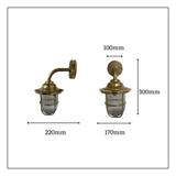 Navigator Goose Neck Wall Lantern - Antique Brass