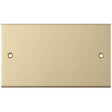 Selectric 5M Satin Brass 2 Gang Blank Plate