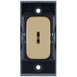 Selectric GRID360 Satin Brass 20A DP 1 Way Keyswitch Module with Black Insert