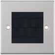 Selectric 5M Satin Chrome 1 Gang Brush Plate with Black Brush