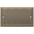 Selectric 7M-Pro Antique Brass 2 Gang Blank Plate