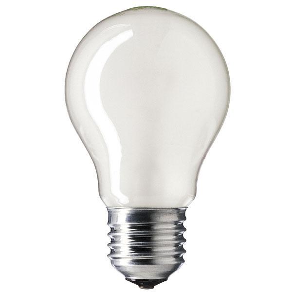 Low Voltage GLS 40w E27/ES 48/50v Pearl/Frosted Light Bulb
